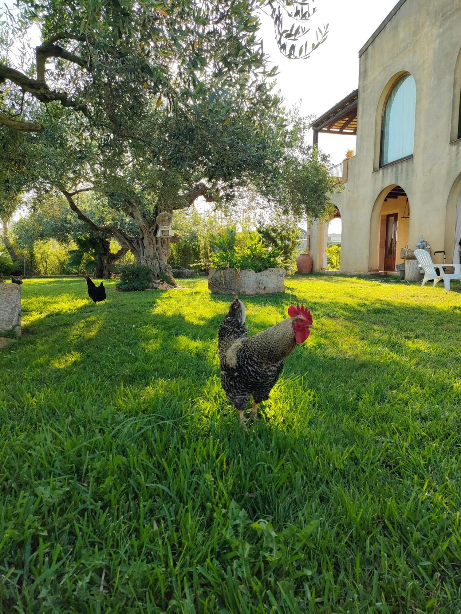 La Finestra Sul Limone Bed and Breakfast Castelvetrano Exteriör bild